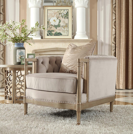 HD-625 Traditional Sofa and Loveseat in Champagne Finish Luxury Fabric by Homey Design Homey Design Furniture