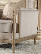 HD-625 Traditional Sofa and Loveseat in Champagne Finish Luxury Fabric by Homey Design Homey Design Furniture