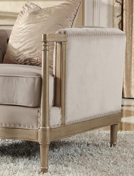 HD-625 Traditional Sofa and Loveseat in Champagne Finish Luxury Fabric by Homey Design Homey Design Furniture