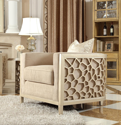 HD-8911 Traditional Sofa and Loveseat in Luxury Champagne Finish by Homey Design Homey Design Furniture