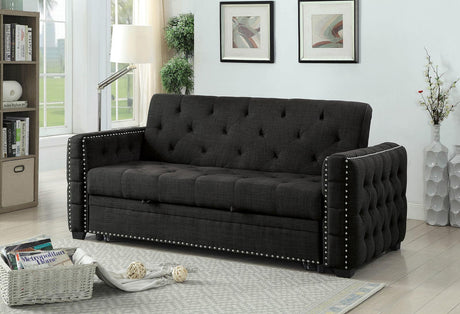 Leonora Transitional Sleeper Sofa by Furniture of America Furniture of America