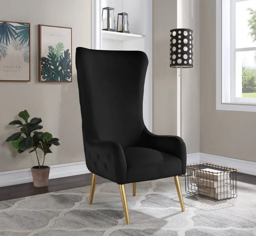 Alexander Accent Chair In Black - 536Black | Meridian - 536Black - Home Elegance USA - 1