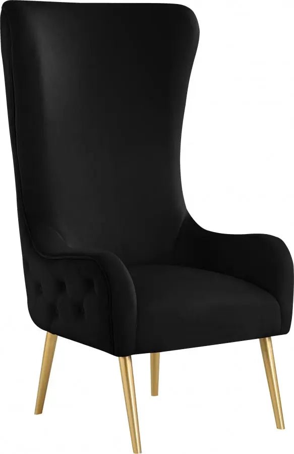 Alexander Accent Chair In Black - 536Black | Meridian - 536Black - Home Elegance USA - 2