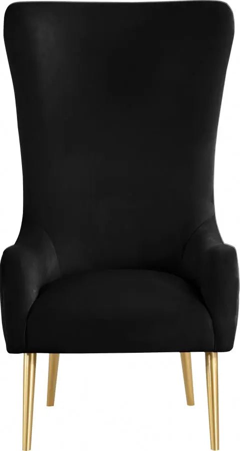 Alexander Accent Chair In Black - 536Black | Meridian - 536Black - Home Elegance USA - 4