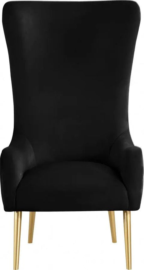 Alexander Accent Chair In Black - 536Black | Meridian - 536Black - Home Elegance USA - 4