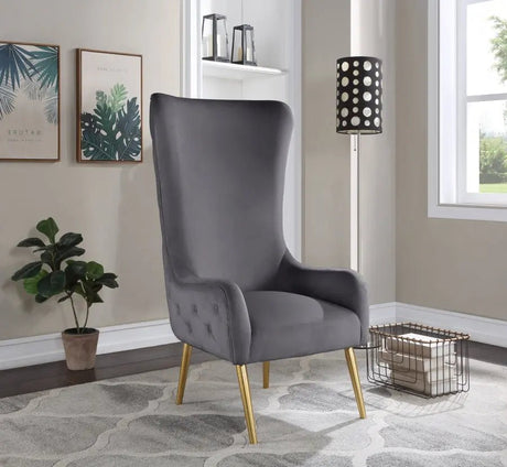 Alexander Accent Chair In Grey - 536Grey | Meridian - 536Grey - Home Elegance USA - 2