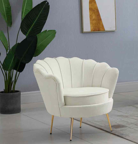 Meridian Furniture - Gardenia Velvet Chair In Cream - 684Cream-C