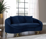 Meridian Furniture - Serpentine 3 Piece Living Room Set In Navy - 679Navy-S-3Set