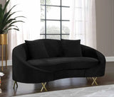 Meridian Furniture - Serpentine Velvet Loveseat In Black - 679Black-L