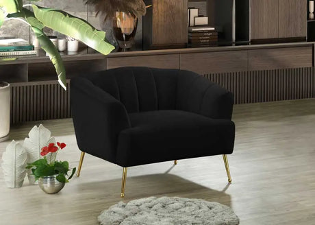 Meridian Furniture - Tori Velvet Chair In Black - 657Black-C