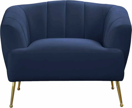 Meridian Furniture - Tori Velvet Chair In Navy - 657Navy-C