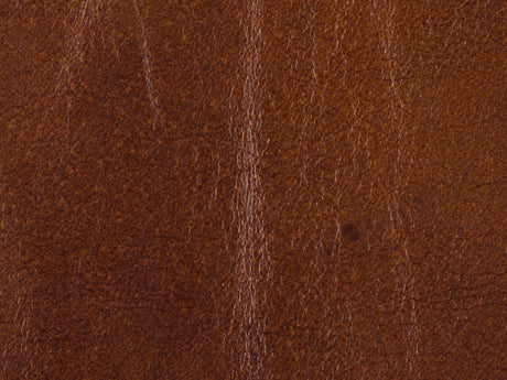 Exton Stationary Sofa in Old English Saddle Leather & Natchez Brown Legs – Hooker Furniture