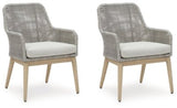 Ashley Gray Seton Creek Arm Chair With Cushion (Set of 2) - P798 - 601A - Home Elegance USA - 1