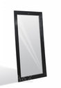 A&X Regal Black Crocodile Floor Mirror | Home Elegance USA