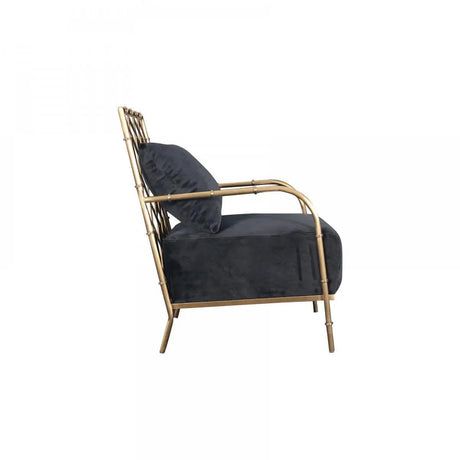 Vig Furniture - Divani Casa Ignacio Glam Black Velvet & Gold Accent Chair - Vgmfoc-2211-Blk-Ch