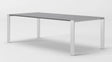 Modrest Fauna Modern Elm Grey & Stainless Steel Chrome Dining Table Vgbbbn-2T-Grey-Dt