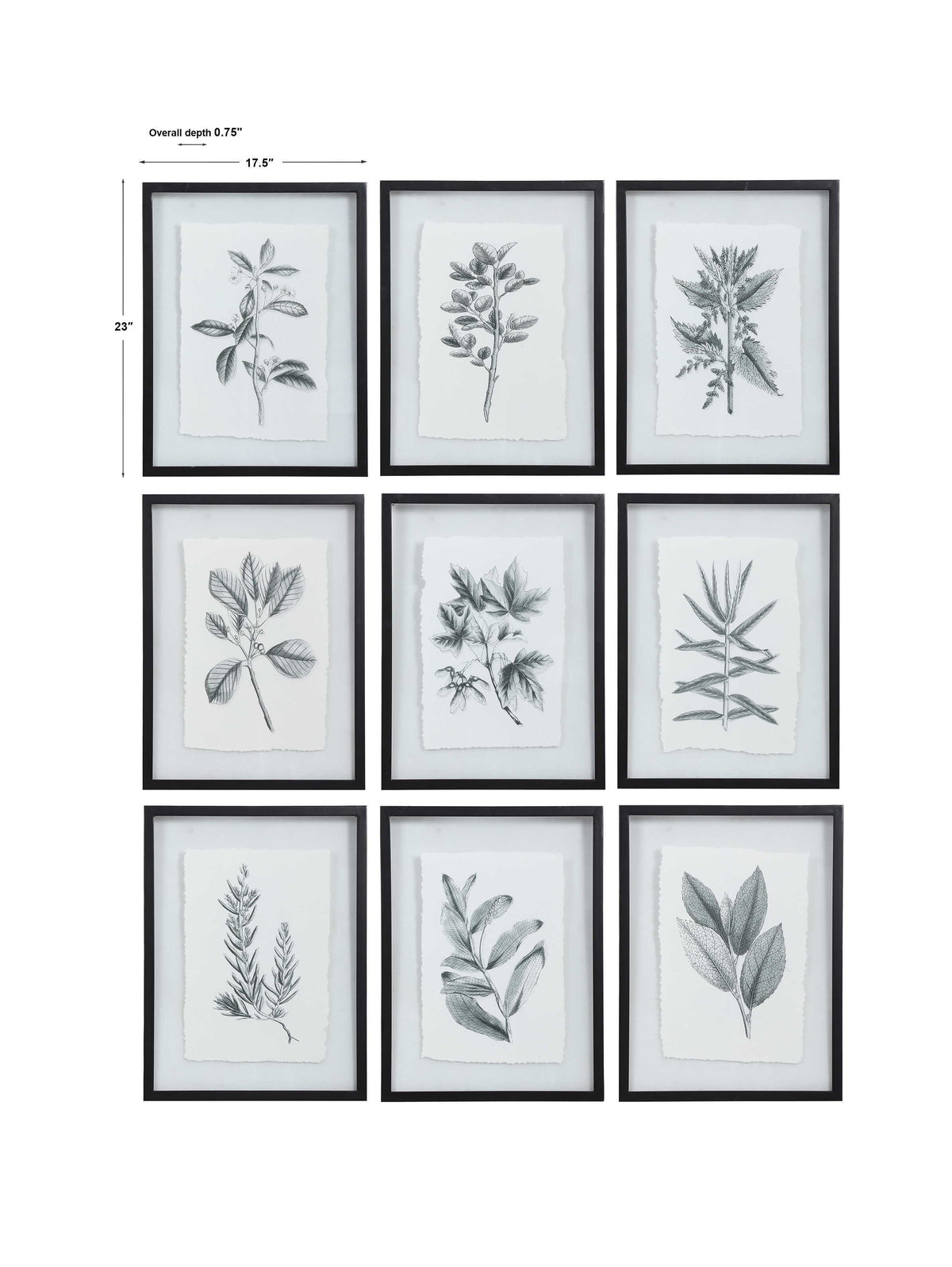 Farmhouse Florals Framed Prints (Set of 9) - Black / White by Uttermost - View 8