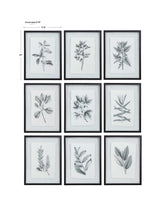 Farmhouse Florals Framed Prints (Set of 9) - Black / White by Uttermost - View 8