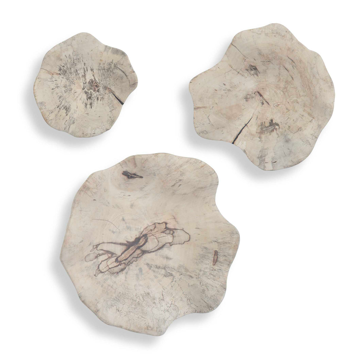 Teo Wall Decor (Set of 3) Bleached Wood - Beige by Uttermost - View 1