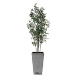 Sonora Olive Tree In Planter - Gray / Green by Uttermost - View 5