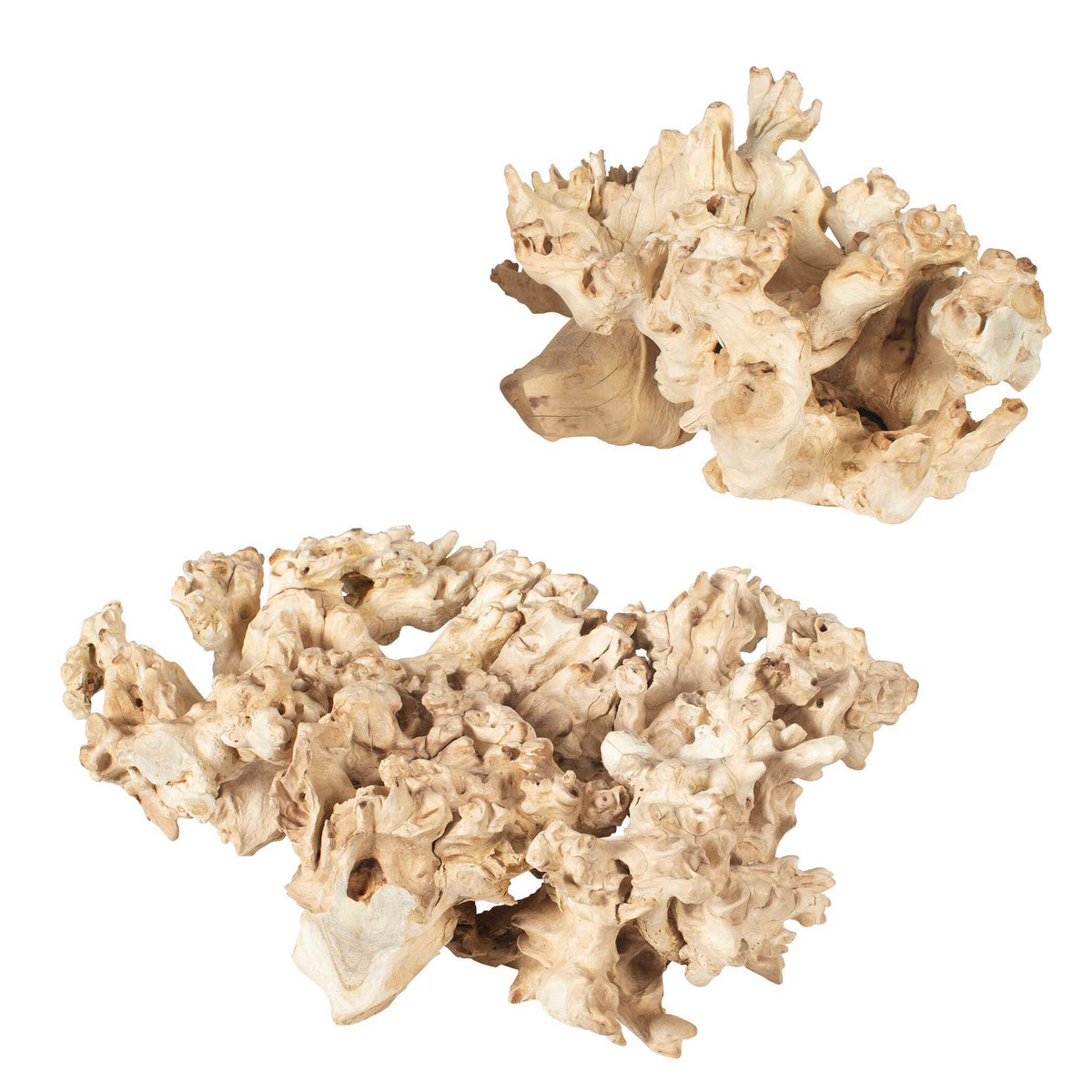 Elemental Root Outdoor Sculptures (Set of 2) - White by Uttermost - View 5