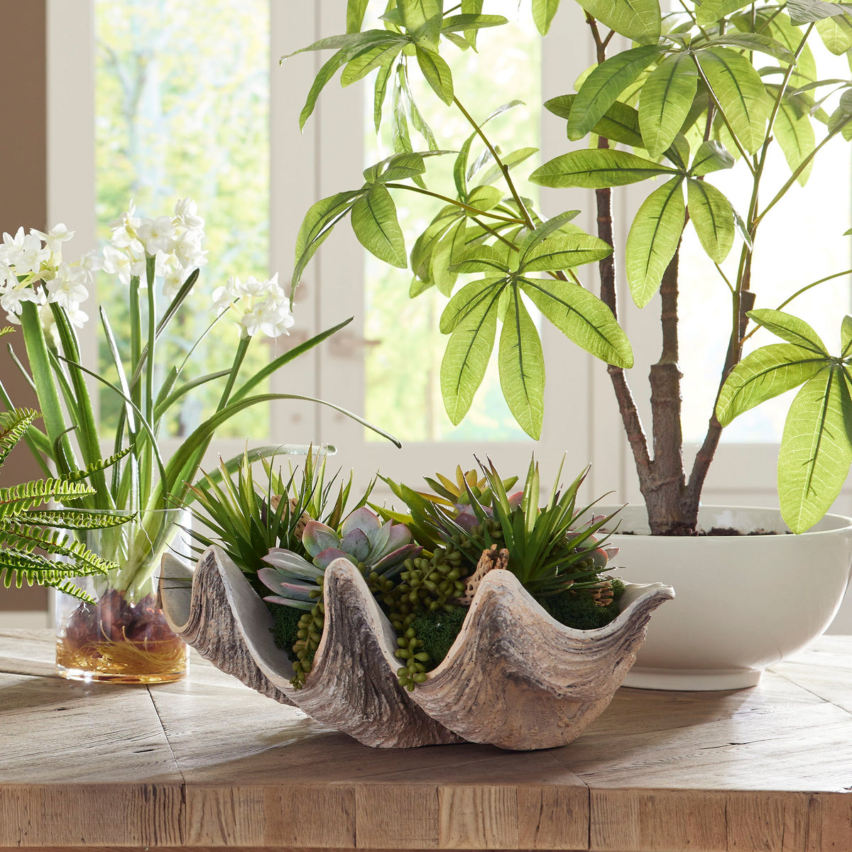 Seaside Breeze Succulents - Light Brown by Uttermost - View 2