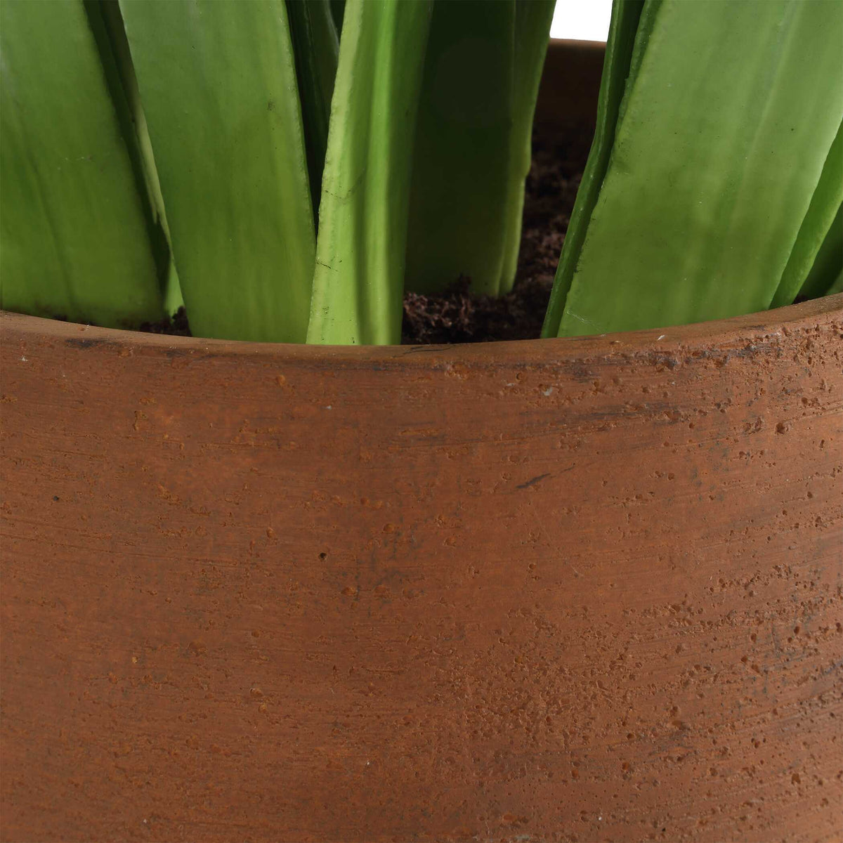 Sincerity Potted Hyacinth Plant - Green by Uttermost - View 5