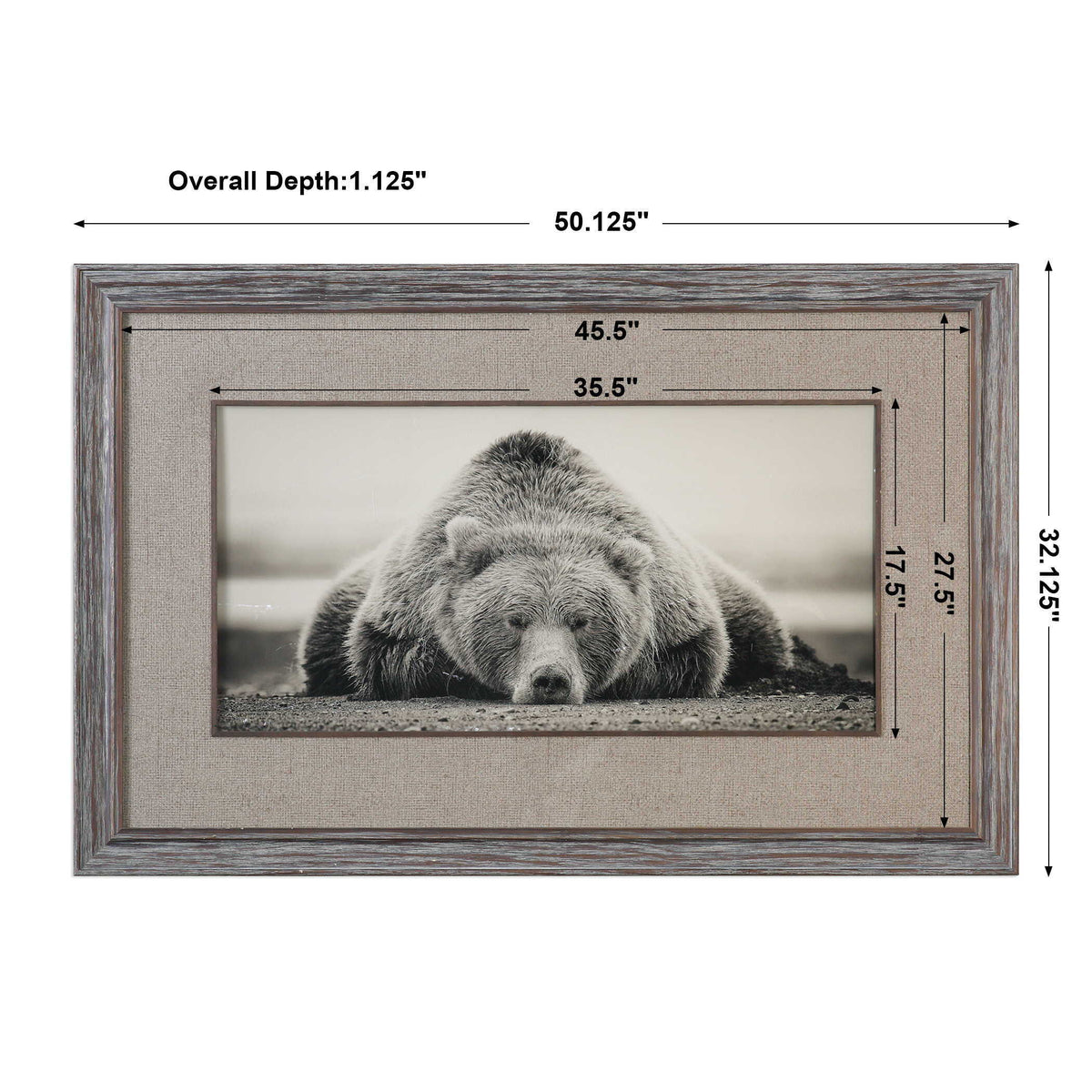 Deep Sleep Bear Print - Silver by Uttermost - View 5