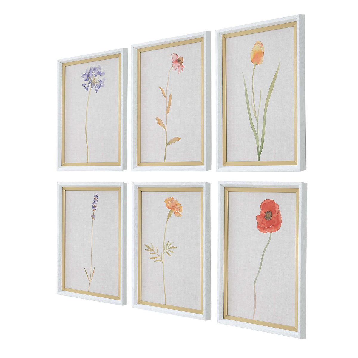 Wild Flourish Framed Floral Prints (Set of 6) - Light Brown by Uttermost - View 3