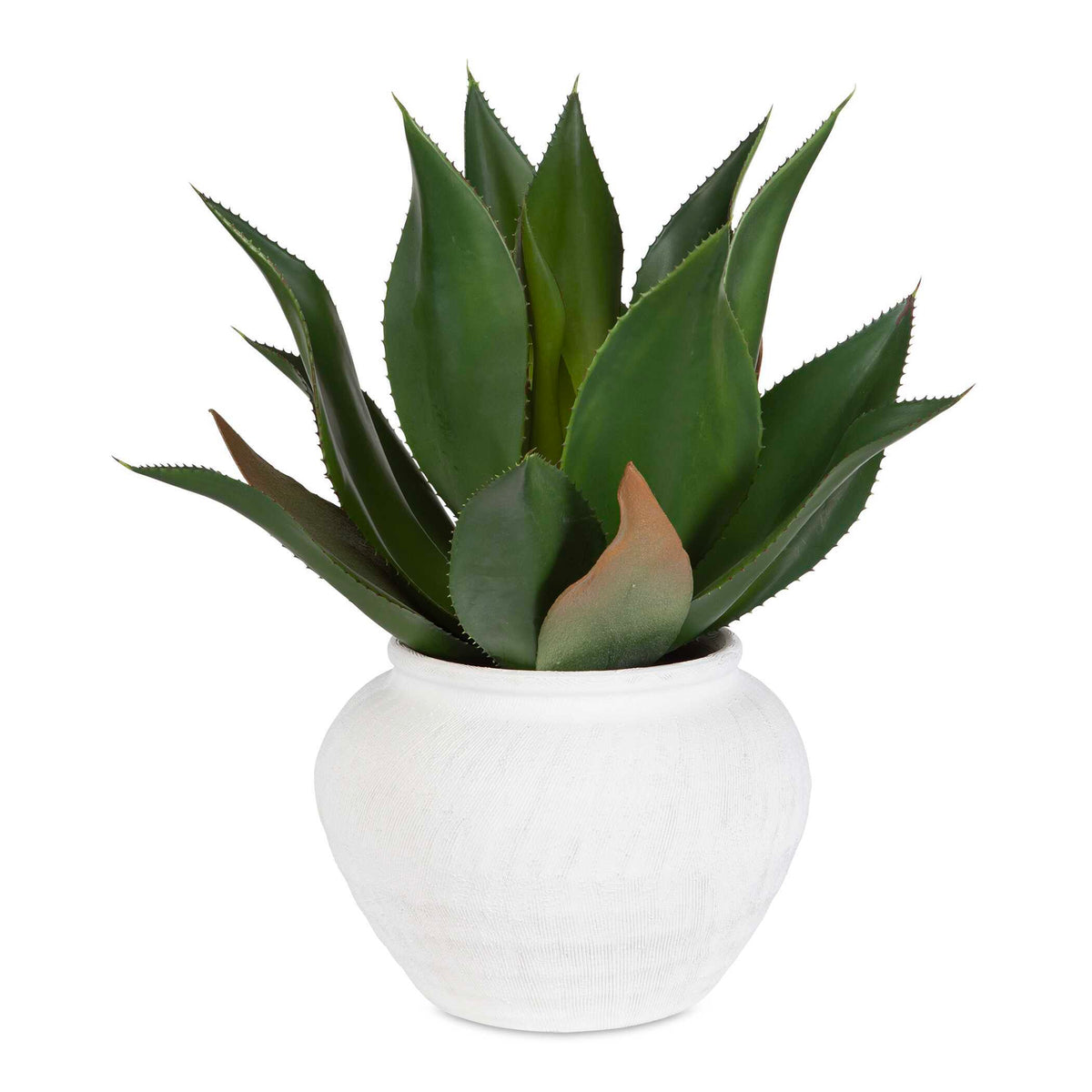 Tierra Agave Centerpiece With Vase - White by Uttermost - View 1