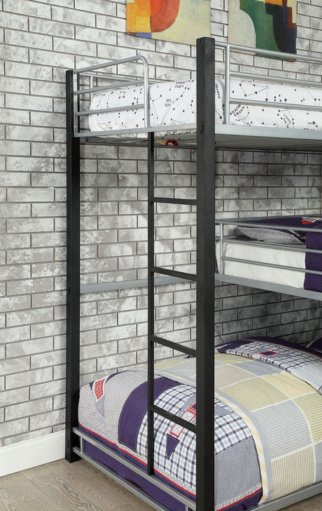 23442313