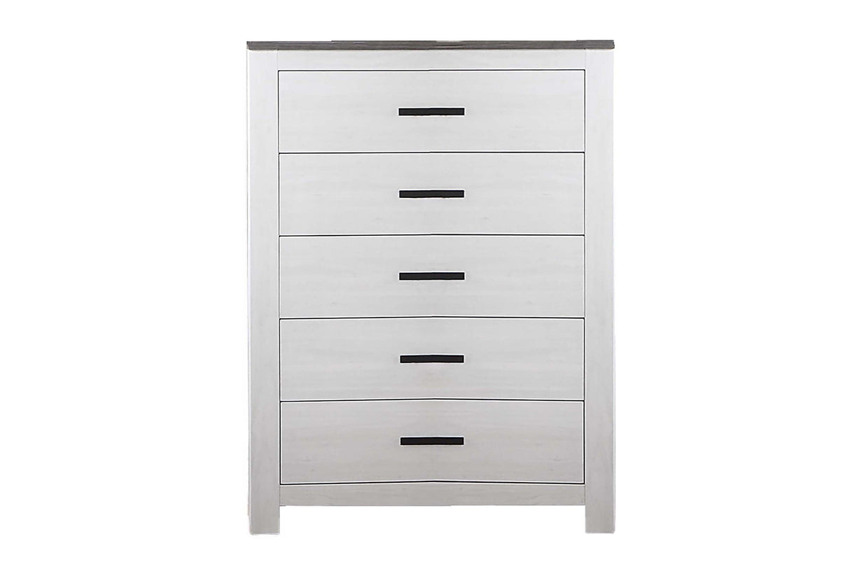 Modern Style 1pc Chest Two Tone Design Sleek Handles Bar Handles White Finish Bedroom Furniture