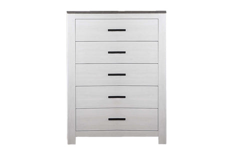 Modern Style 1pc Chest Two Tone Design Sleek Handles Bar Handles White Finish Bedroom Furniture
