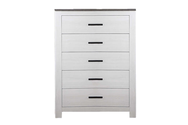 Modern Style 1pc Chest Two Tone Design Sleek Handles Bar Handles White Finish Bedroom Furniture