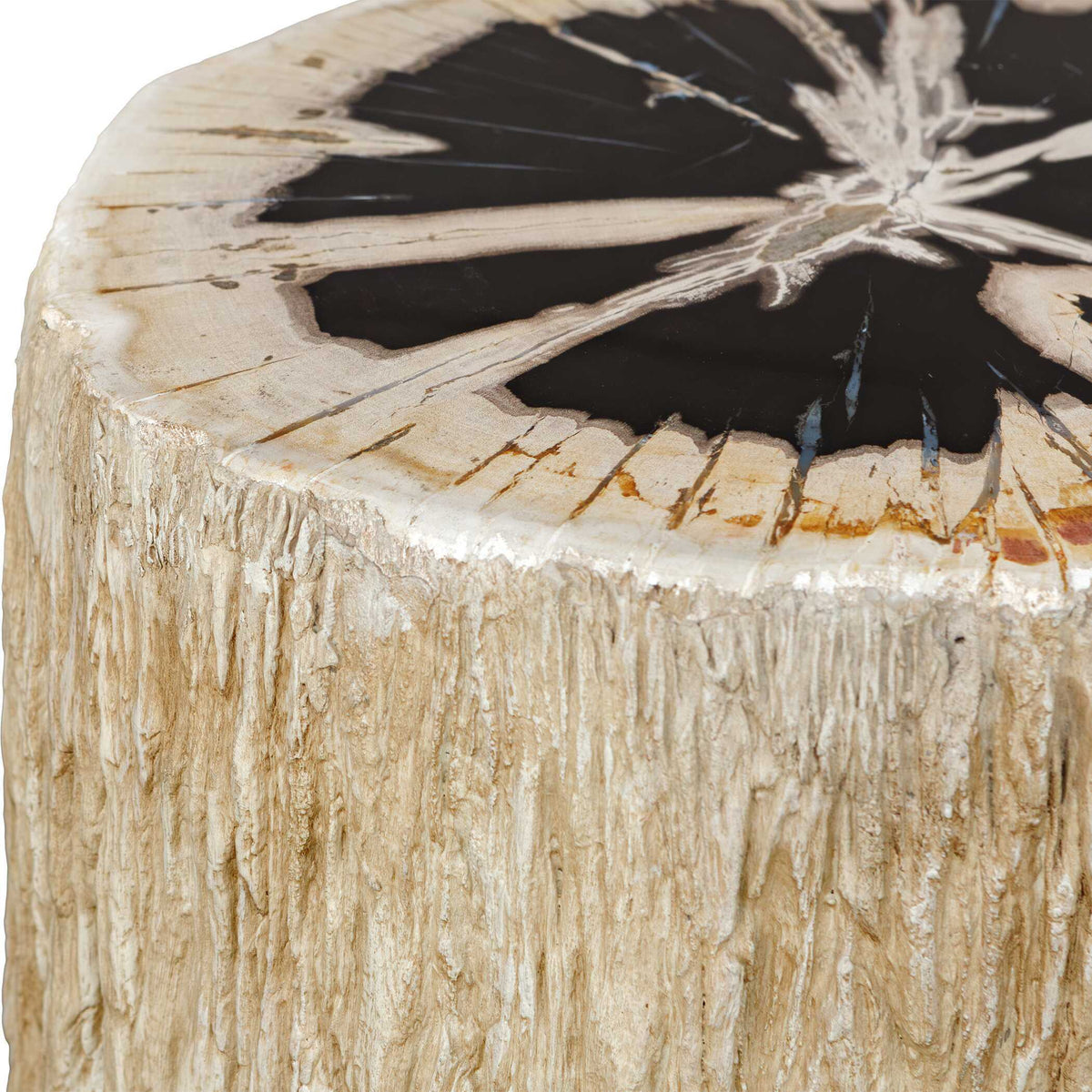 Arco Petrified Wood Top Accent Table Black / White - Beige by Uttermost - View 7