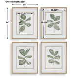 Fiddle Head Leaf Botanical Prints (Set of 4) - Green / White by Uttermost - View 8