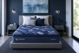 MIDNIGHT- 14' KING HYBRID MATTRESS IN A BOX