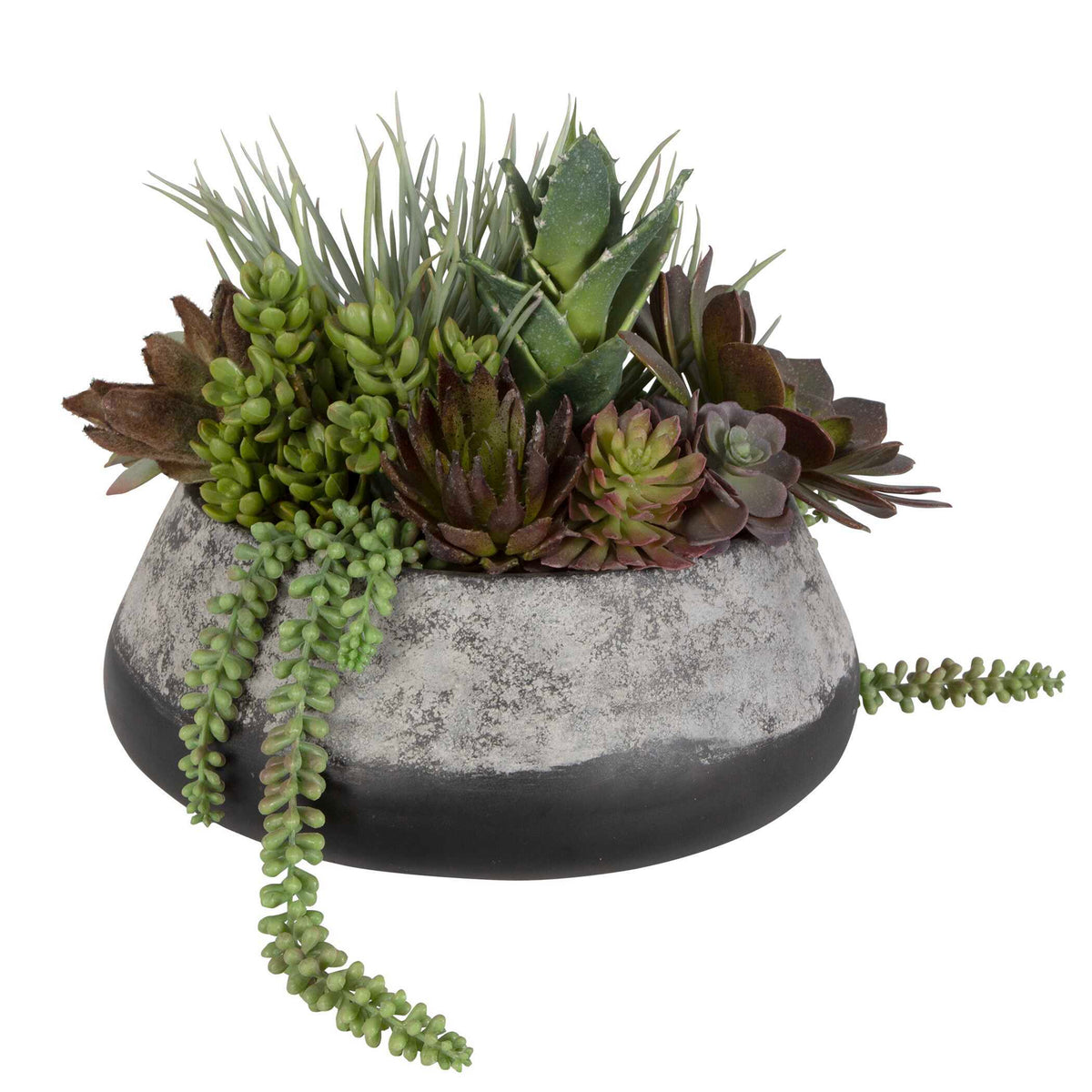 Yuma Succulent Centerpiece - Gray by Uttermost - View 3