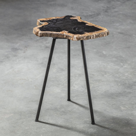 Mircea Petrified Wood Accent Table Black & Light Brown - Black / Light Brown by Uttermost - View 4