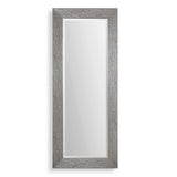 Amadeus Large Mirror - Silver by Uttermost - View 1