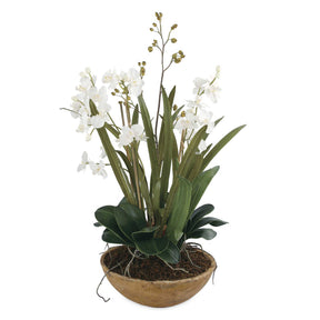 Moth Orchid Planter - Green / Light Brown by Uttermost - View 1