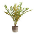 Zamia Palm Accent In Planter - Green by Uttermost - View 1