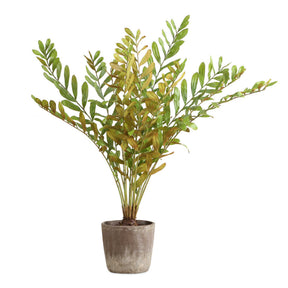 Zamia Palm Accent In Planter - Green by Uttermost - View 1