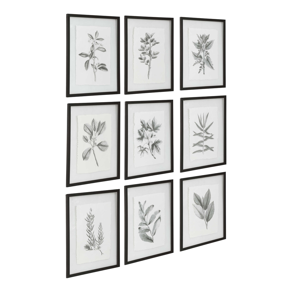 Farmhouse Florals Framed Prints (Set of 9) - Black / White by Uttermost - View 4