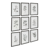 Farmhouse Florals Framed Prints (Set of 9) - Black / White by Uttermost - View 4