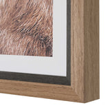 Big Horn Sheep Framed Print Black / Brown / White - Dark Brown / White by Uttermost - View 6