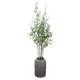 Aldis Potted River Birch - Gray / Green by Uttermost - View 1