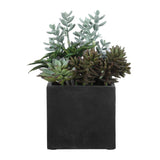 Greystone Indoor-Outdoor Succulent - Green by Uttermost - View 5