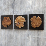 Kolini Teak Wood Wall Decor (Set of 3) - Yellow / Black by Uttermost - View 3