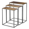 Coreene Nesting Tables (Set of 3) Gold - Bronze / Black by Uttermost - View 1